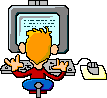 IT Developer